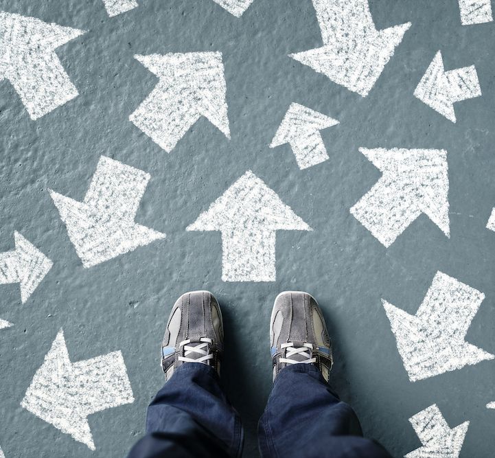 Breed and Group Judging